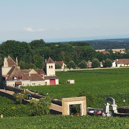 Appartamento Appt Proche Des Vignes Perrigny-les-Dijon Esterno foto