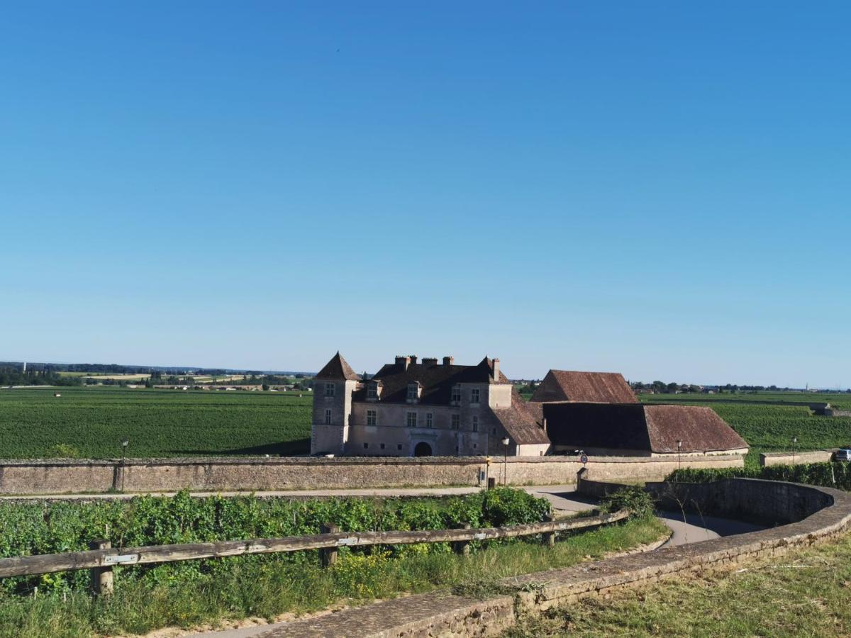 Appartamento Appt Proche Des Vignes Perrigny-les-Dijon Esterno foto