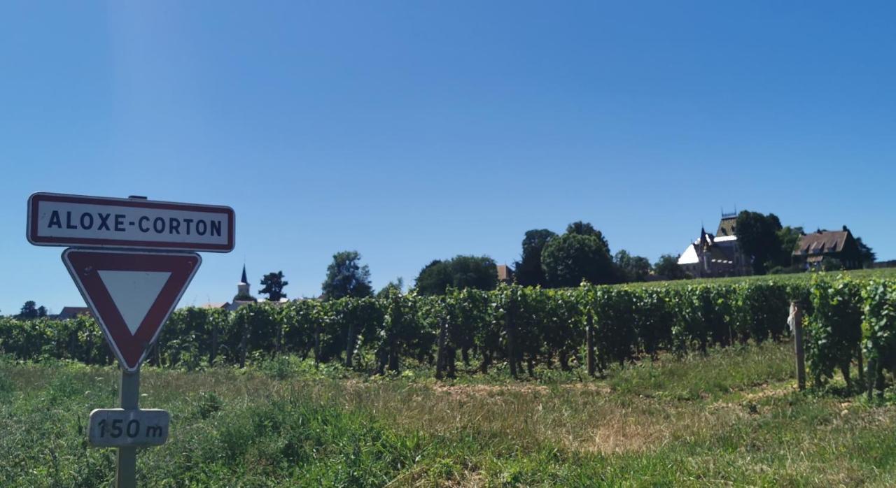 Appartamento Appt Proche Des Vignes Perrigny-les-Dijon Esterno foto